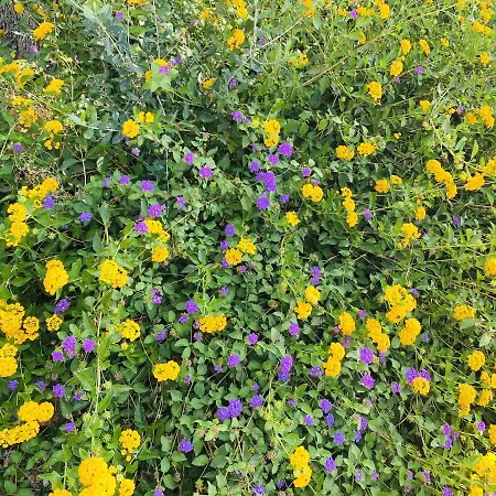 Charming In With Shared Pool 아파트