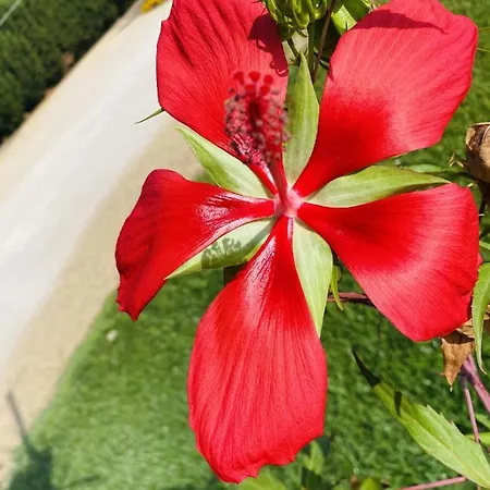 Charming In With Shared Pool * 나르도